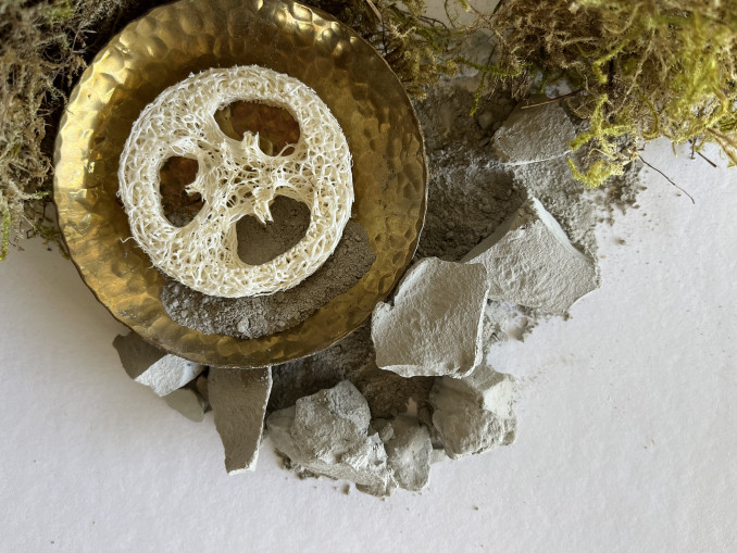 NATULA – pirmasis Lietuvoje ir pasaulyje gamintojas, kuriantis odos priežiūros produktus su opokos moliu