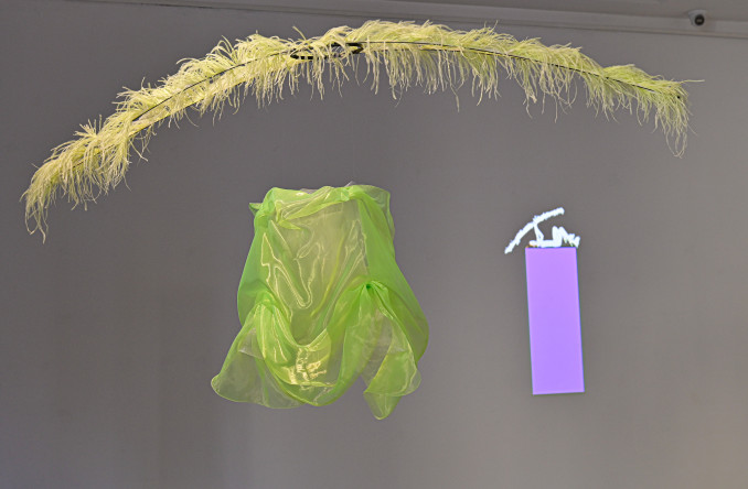 Ieva Šlaičiūnaitė, Prologas.Tylieji architektai